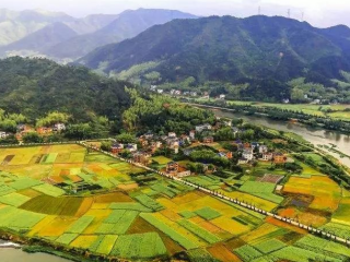 近日，甘肅省人民政府辦公廳關(guān)于對省鄉(xiāng)村振興局（原省扶貧辦）、省農(nóng)業(yè)農(nóng)村廳、省教育廳、玉門市、卓尼縣予以表揚的通報。根據(jù)《國務(wù)院辦公廳關(guān)于對2020年落實有關(guān)重大政策措施真抓實干成效明顯地方予以督查激勵
